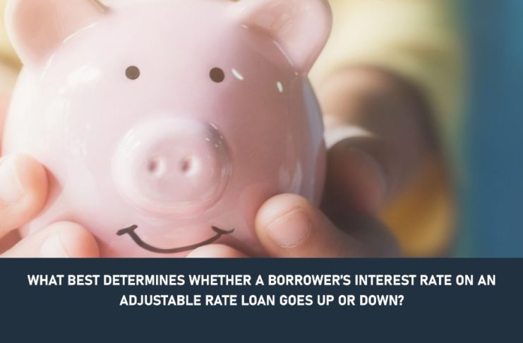 what best determines whether a borrower’s interest rate on an adjustable rate loan goes up or down