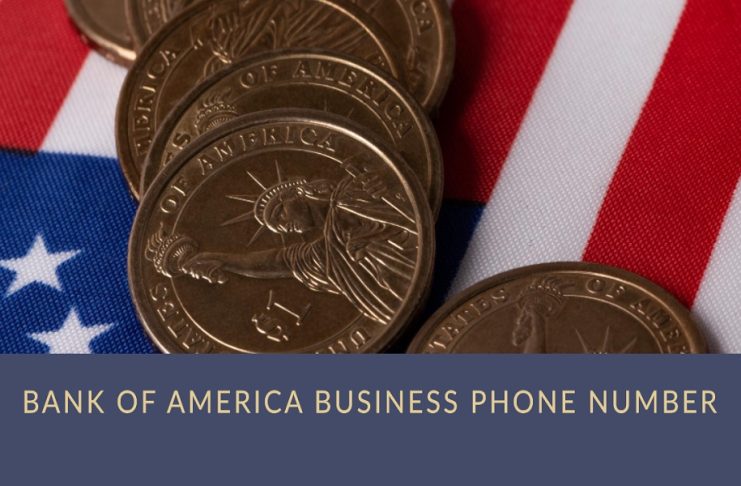 bank of america business phone number
